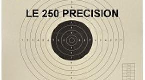 LE 250 PRECISION EN ARME DE POING